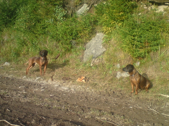 nerevú,ideme domov!