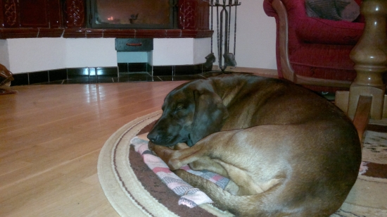 unavený po dohľadávke