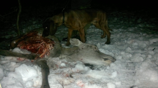 živá konzerva dožila