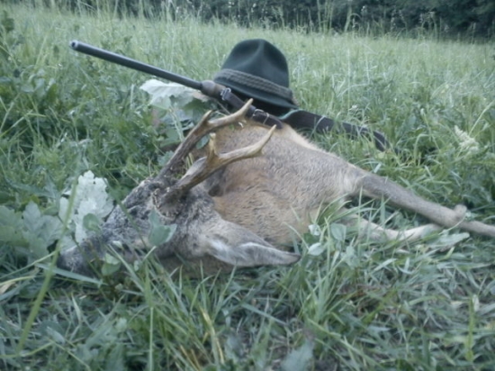 prekabátený na MDD