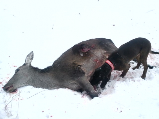 trochu nás vytrápila