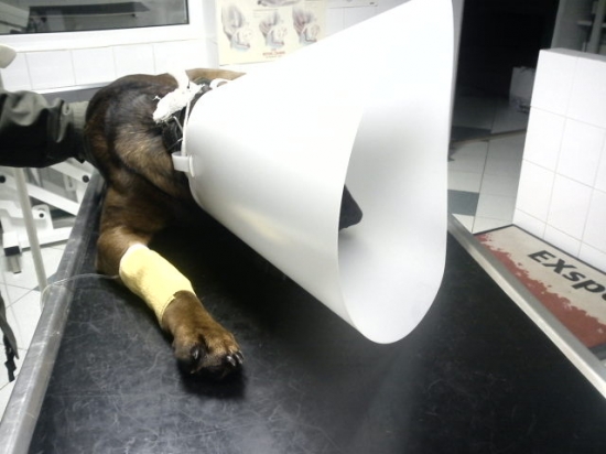 koniec roka trochu inak