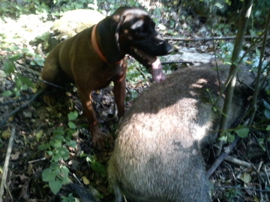 aj ked bolo teplo sa podarilo...