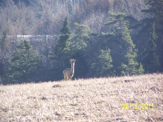 na slunečku mu chucelo..