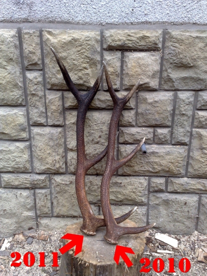 po roku zaš osmorak..