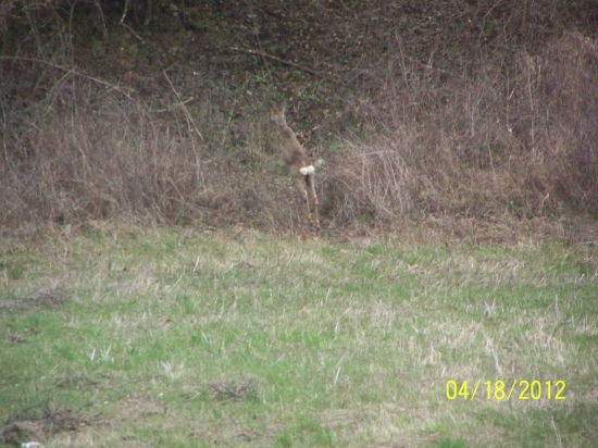 skok a už je fuč :D