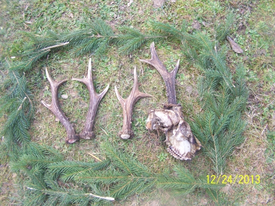 najkrajše vianoce :) neška :)