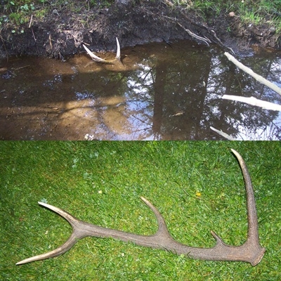 co skryvalo bahnisko...