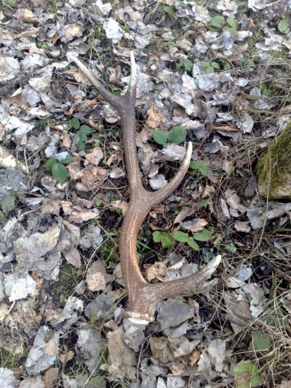 bratov-para k mojemu