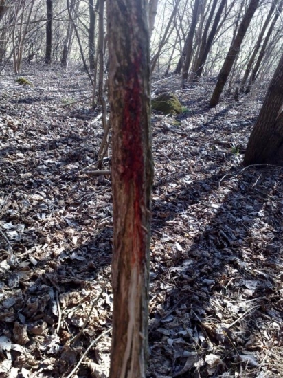 Konečne vytĺkajú2