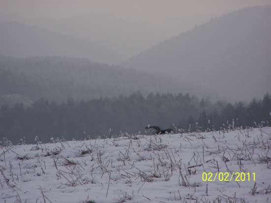 neskoro , ale aspon kusok