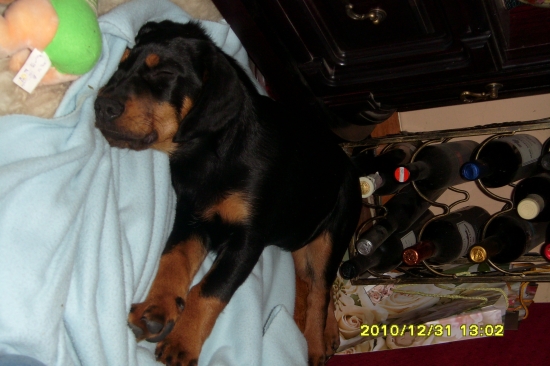 trochu spanku nezaškodí