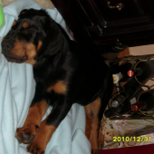 trochu spanku nezaškodí