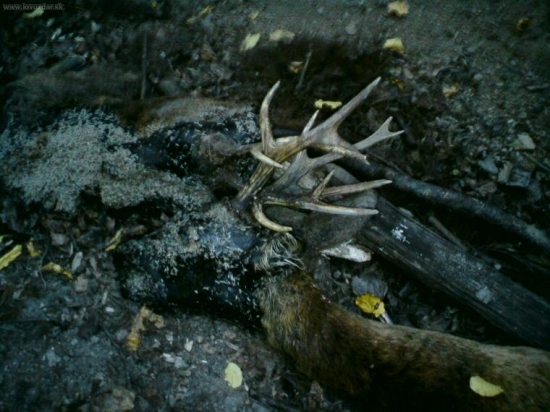 Súboj žiaľ prehrali obaja