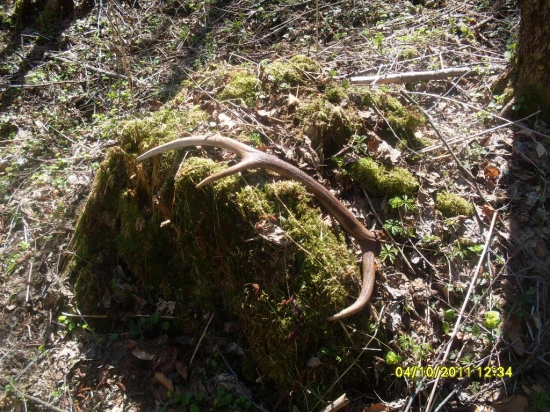 znova vlaňajší, ale poteší