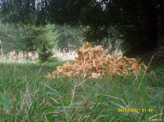 dnes nás hora obdarila