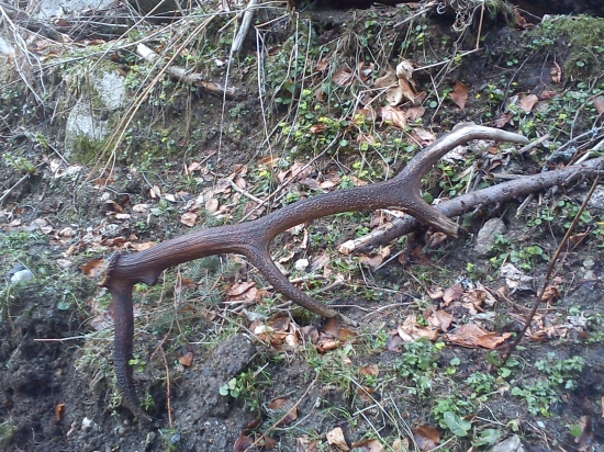 štastie je krásna vec