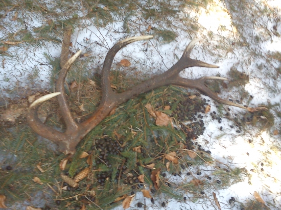 najkrajší zo sezóny