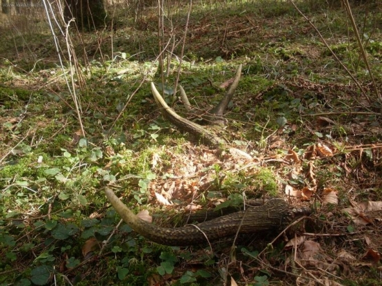 Tak čakal na môjho syna druhý v živote