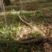 Tak čakal na môjho syna druhý v živote