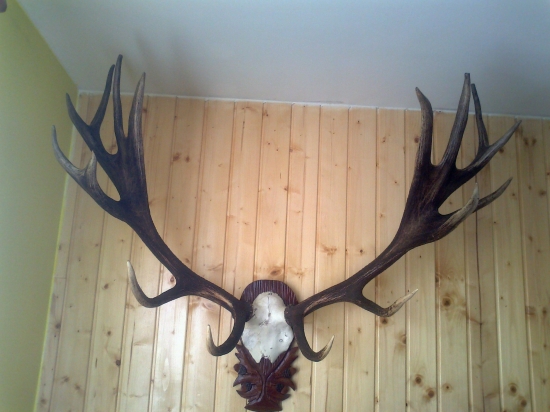 Jedno veľké šťastie