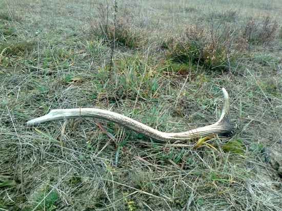 stále  sa  da  dačo  najst