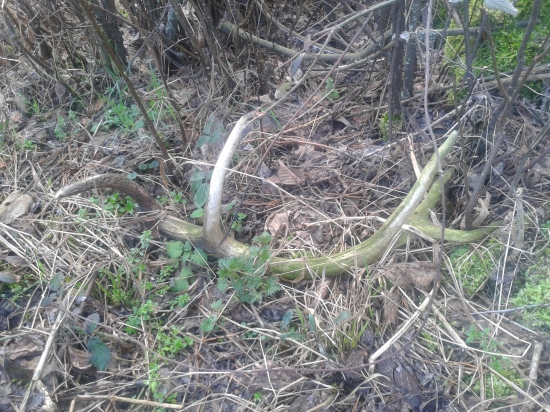 Dva roky si poležal