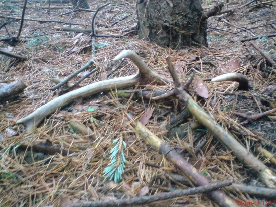 dnešna  prechadzka  2