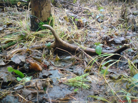 Dnešný upršaný den.