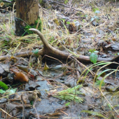 Dnešný upršaný den.