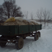 rozvoz silaze a jadroveho krmiva