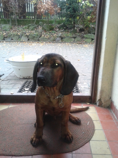 Iro - Vrátna dolina