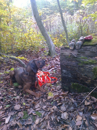 Umelá pofarbená stopa