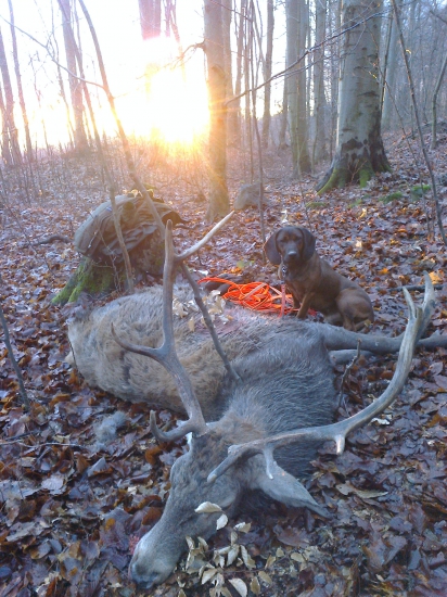 IRO Vrátna dolina a jeho dnešna kratšia dohľadávka