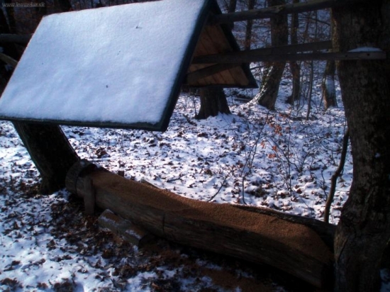 Krmenie PZ Topľa Soľ