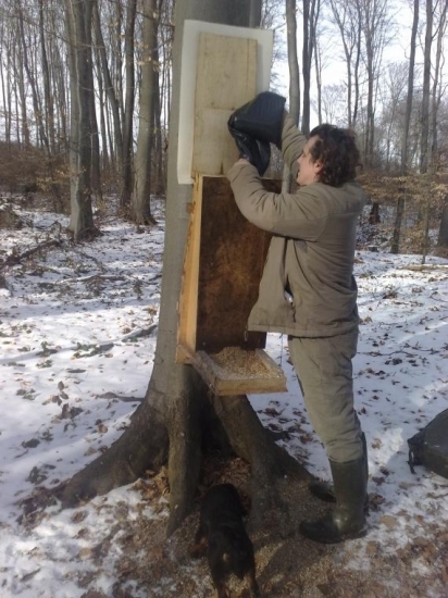 Krmenie PZ Topľa Soľ