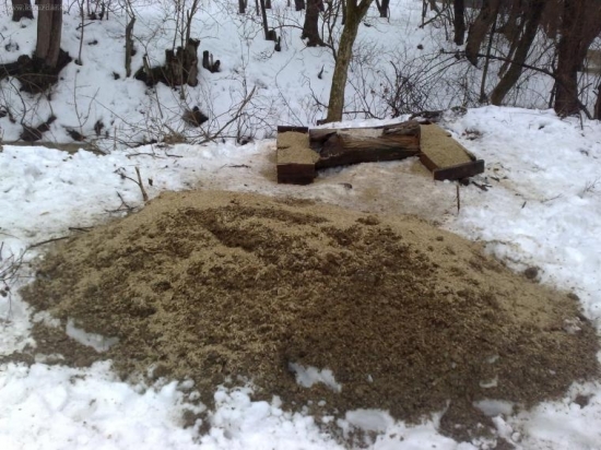 Krmenie PZ Topľa Soľ