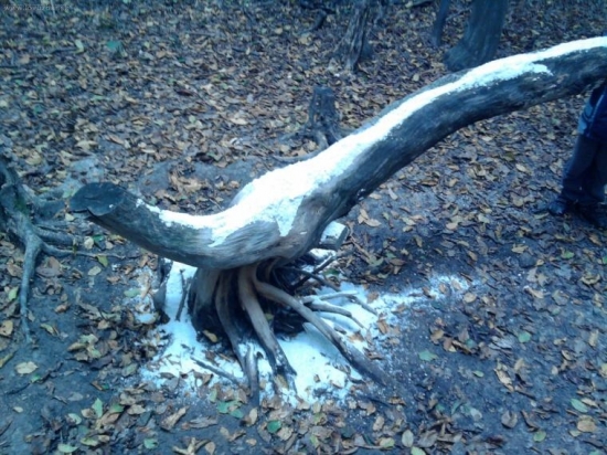 solisko 2 v PZ Topla Sol