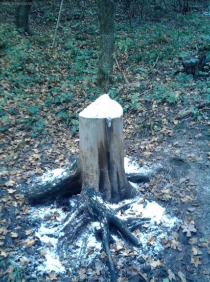 solisko 3 v PZ Topla Sol