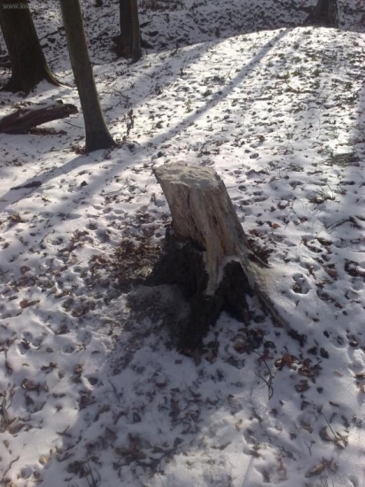 solisko 6v PZ Topla Sol