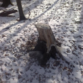 solisko 6v PZ Topla Sol