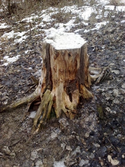 solisko 5 v PZ Topla Sol