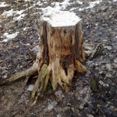 solisko 5 v PZ Topla Sol