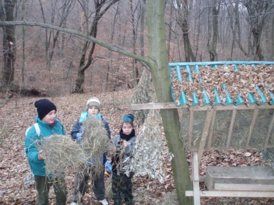 Krmenie PZ Topľa Soľ