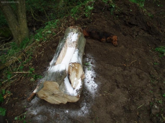 solisko 7 v PZ Topla Sol