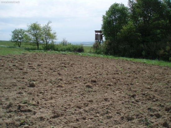 policko1 v PZ  Topla Sol