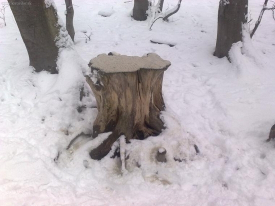 solisko 8 v PZ Topla Sol