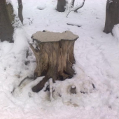 solisko 8 v PZ Topla Sol