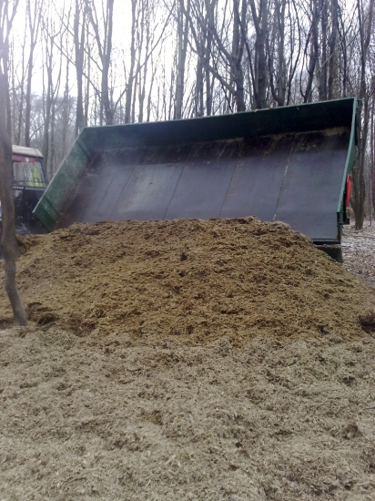 Krmenie kukuricna silaz