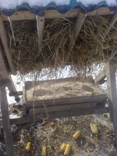 dnesne podanie lieciv